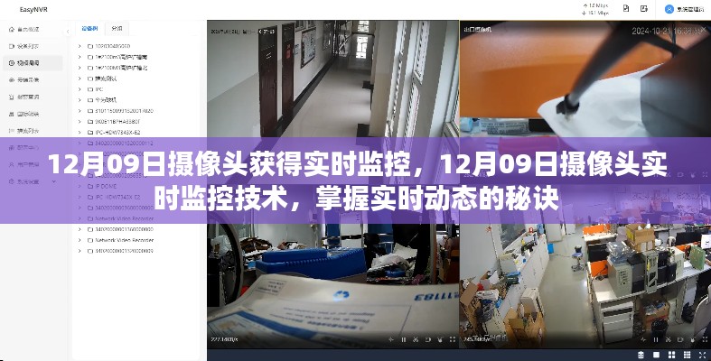 博古通今 第3页