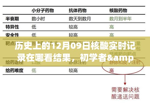 如何查看历史上的12月09日核酸实时记录结果？初学者与进阶用户适用详细步骤指南。