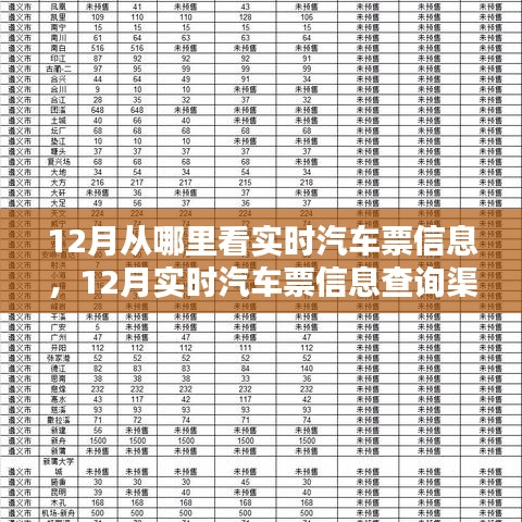 12月汽车票实时信息查询攻略，渠道优劣分析与选择建议