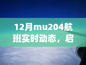 MU204航班，探寻十二月自然美景，启程心灵的平和之旅