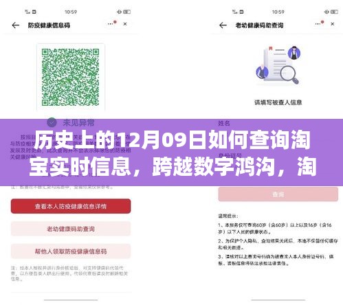 淘宝实时信息探索之旅，跨越数字鸿沟，历史与现代交汇点上的淘宝实时信息查询指南