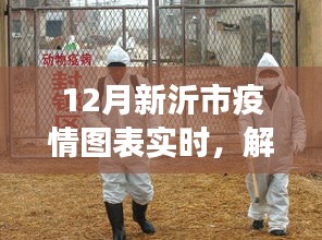 新沂市十二月疫情实时图表动态，洞悉防控进展与进展数据解读