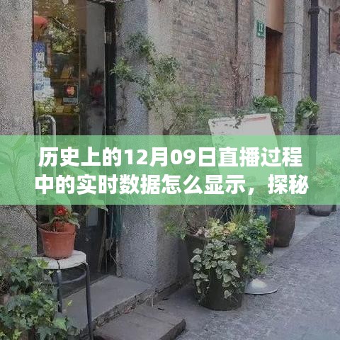 探秘直播传奇，特色小店实时数据展现之旅，揭秘直播实时数据背后的秘密。