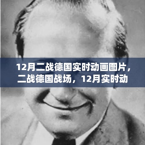 二战德国战场回顾，实时动画图片解析与影响探讨（附动画图片）