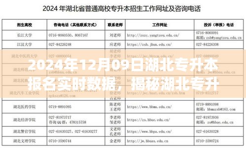 揭秘湖北专升本报名新神器，实时数据追踪开启智能报名新时代（实时更新至2024年12月09日）