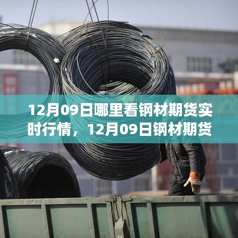 纲举目张 第3页