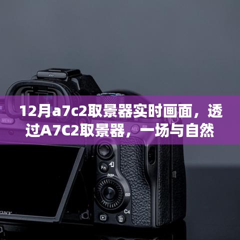 透过A7C2取景器，与自然美景的冬日邂逅实拍纪实
