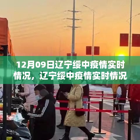 辽宁绥中疫情最新实时动态及分析，某某观点阐述