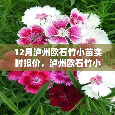 作舍道边 第3页
