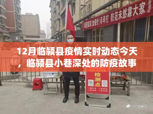 临颍县小巷深处的防疫故事，今日疫情动态与一家独特小店的经历
