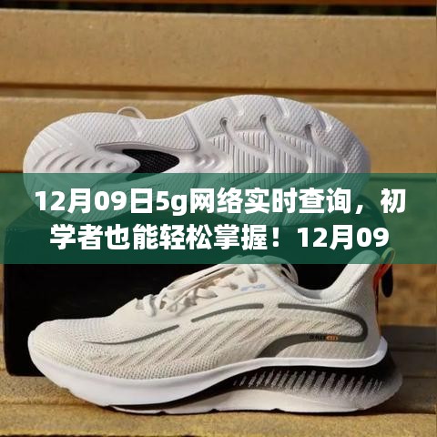 初学者也能轻松掌握的5G网络实时查询指南（详细步骤，12月09日更新）