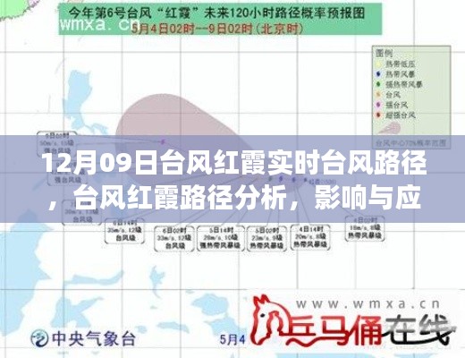 台风红霞来袭，路径分析、影响及应对之道