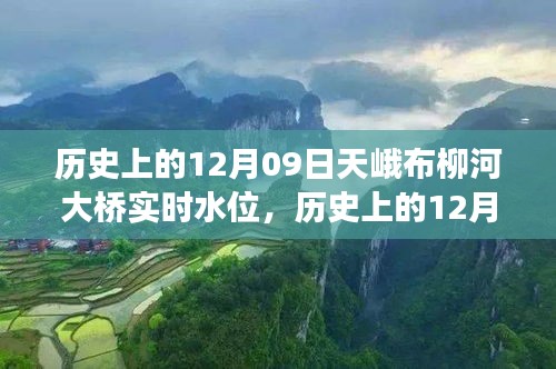 历史上的天峨布柳河大桥实时水位变迁纪实，揭秘12月09日的水位变化与变迁历程
