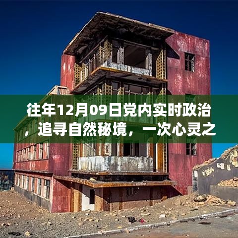 探寻自然秘境的心灵之旅，党内实时政治下的心灵宁静体验