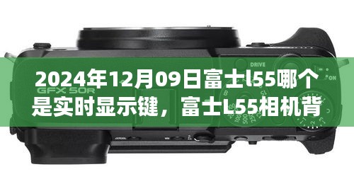 富士L55相机背后的故事，探索实时显示键与摄影之旅的温馨时刻