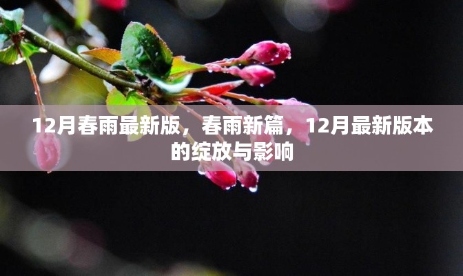 12月春雨新篇，最新版本的绽放与深远影响