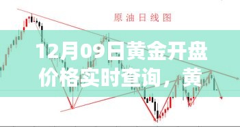 生张熟魏 第3页
