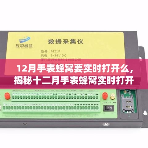揭秘，十二月手表蜂窝实时打开背后的故事与重要性