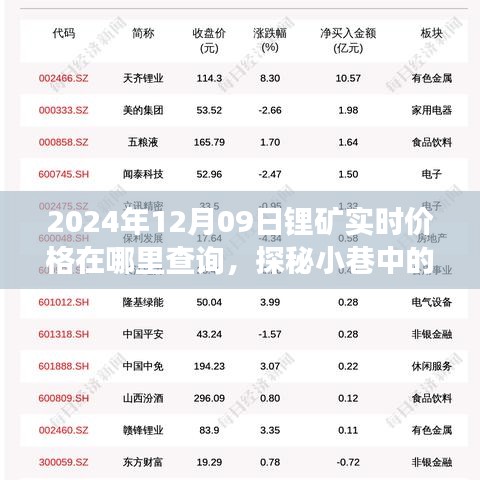项目介绍 第278页