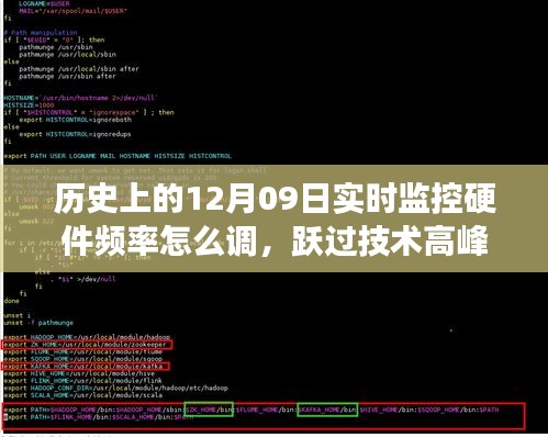 鸟吏鼈官 第3页