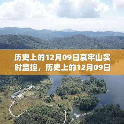 惊弦之鸟 第3页