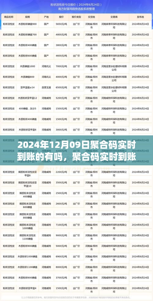 2024年聚合码实时到账可行性探讨，以观察日12月09日为切入点