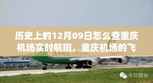 重庆机场飞行记忆，温馨探班之旅与历史实时航班查询