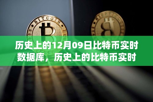 探寻比特币成长轨迹，历史上的比特币实时数据库与背后故事揭秘