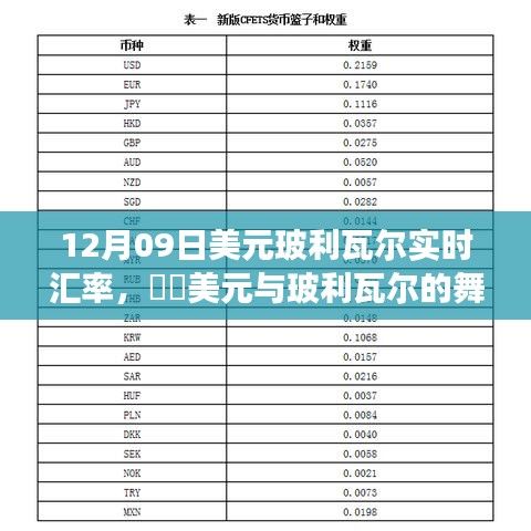 12月09日美元与玻利瓦尔汇率更新，绿色之旅寻求内心平静的时刻