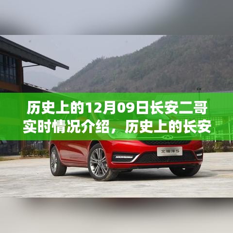 企业优势 第262页