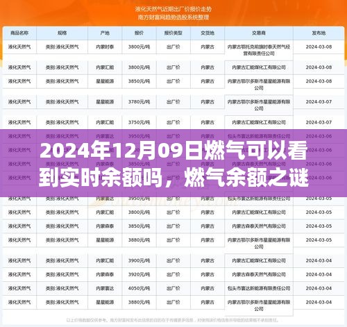 燃气余额之谜，揭秘家庭燃气实时余额探秘之旅