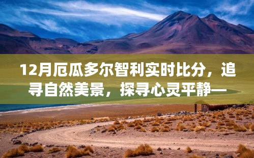 企业优势 第258页