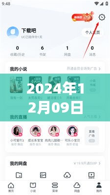 UC浏览器视频实时翻译功能，应用与展望（2024年视角）