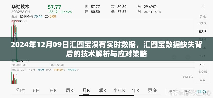 汇图宝数据缺失的技术解析与应对策略，实时数据缺失背后的探讨（2024年12月09日）