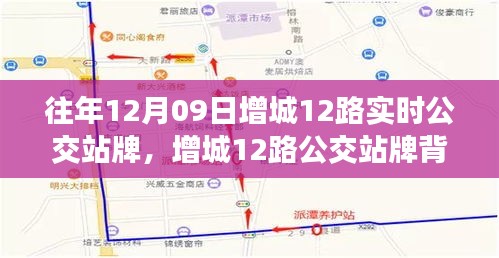 增城12路公交站牌背后的励志故事，自信与成长的奇妙旅程