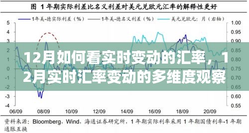 深度解析，12月实时汇率变动的多维度观察与观点碰撞