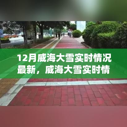 威海大雪实时情况及应对冬季大雪天气的指南
