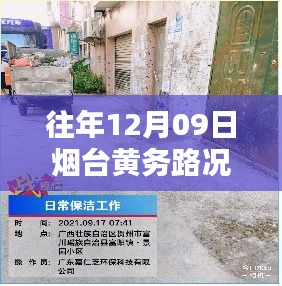 反正还淳 第2页