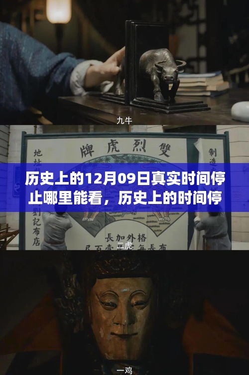 揭秘历史上的时间停止事件，揭秘十二月九日神秘时刻的真相与探寻真实时间停止的观看途径