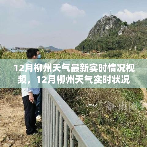 12月柳州天气实时状况及气候特点解析