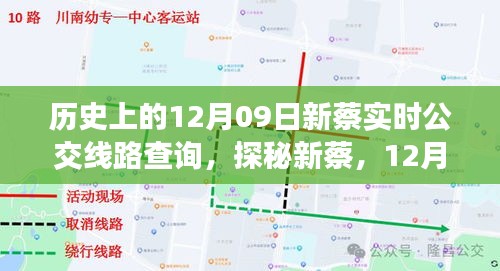 探秘新蔡，公交奇缘与特色小店的奇妙之旅（12月09日实时线路查询）