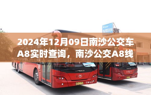 南沙公交A8线背后的暖心故事，与时间的约会，实时查询指南（2024年12月09日）