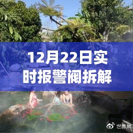 项目介绍 第228页