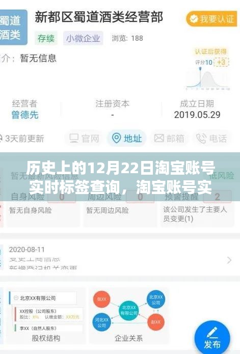 淘宝账号实时标签查询系统的历史沿革与影响回顾，12月22日回顾篇