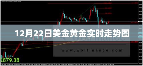 美金黄金走势图，最新实时动态分析