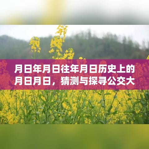 公交大兴53路历史背景与实时动态探索