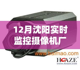 孜孜不倦 第2页
