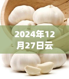 采椽不斫 第2页