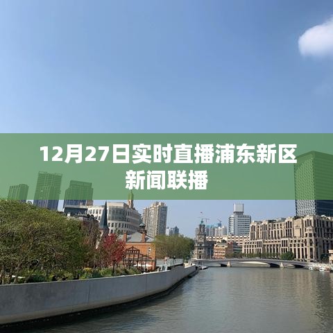 浦东新区新闻联播直播回放，最新动态尽在掌握