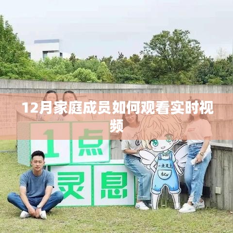 年终家庭实时视频观看指南